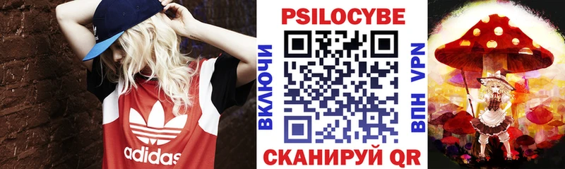 продажа наркотиков Ряжск Галлюциногенные грибы Psilocybine cubensis